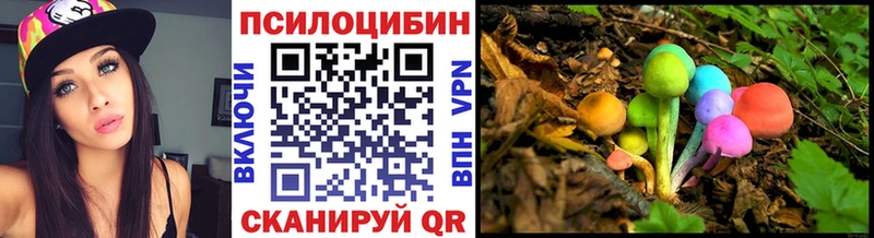 Псилоцибиновые грибы Psilocybe  сколько стоит  Зарайск 